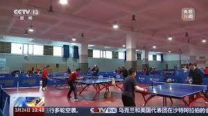 2026世界杯官网 乒乓球台上适合放什么